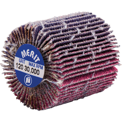 Mini-meule &agrave; lamelles filet&eacute;es, C&eacute;ramique d'alumine, Grain 120, 1" x 1" x 1/4"-20 Rock Safety Industrial Ltd