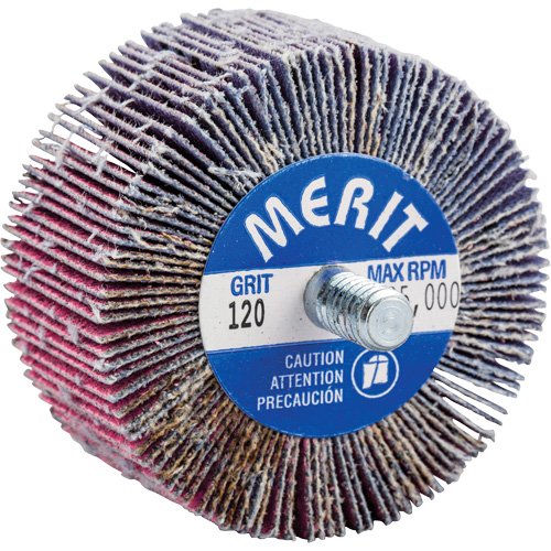 Threaded Mini Flap Wheel, Ceramic Alumina, 120 Grit, 2" x 1" x 1/4"-20 Rock Safety Industrial Ltd