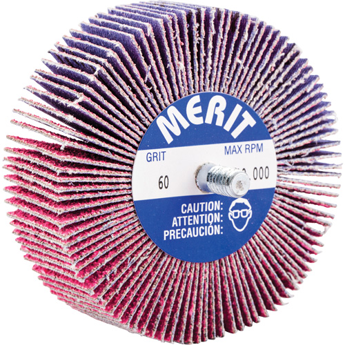 Threaded Mini Flap Wheel, Ceramic Alumina, 60 Grit, 3" x 1" x 1/4"-20 Rock Safety Industrial Ltd