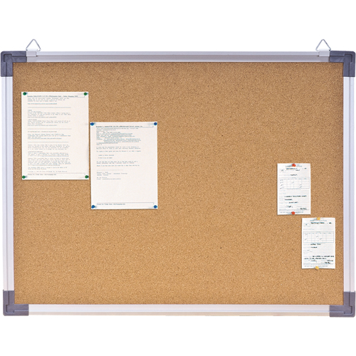 Corkboard, 18" H x 24" W Rock Safety Industrial Ltd