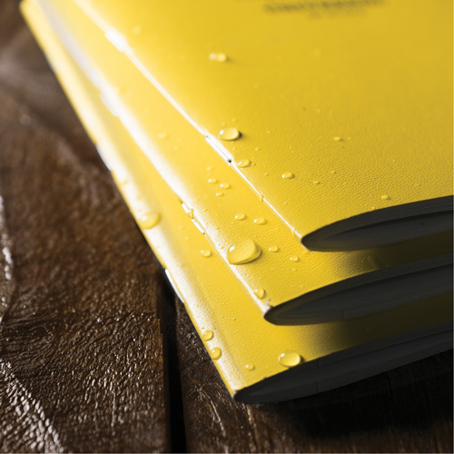 Carnet de notes, Couverture souple, Jaune, 48 Pages, 4-5/8" , 7"  Rock Safety Industrial Ltd