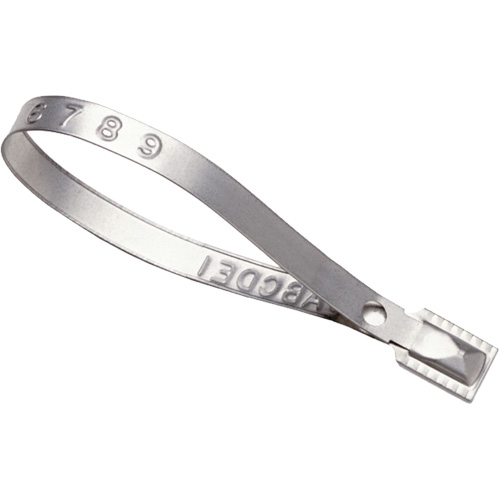 Scell&eacute;s Guard Lock, 8-3/8", M&eacute;tal, Scell&eacute; pour camion Rock Safety Industrial Ltd