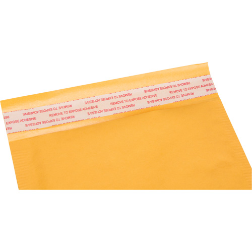 Enveloppes postales coussin&eacute;es, Kraft, 6" la x 10" lo Rock Safety Industrial Ltd