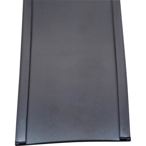 Card Holder, Magnetic, 600" L x 2" W Rock Safety Industrial Ltd