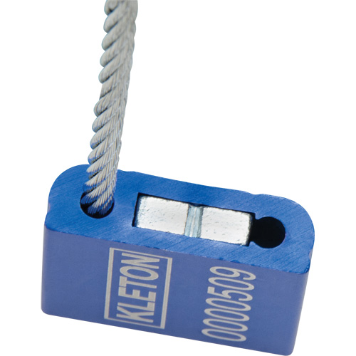 Scell&eacute;s de haute s&eacute;curit&eacute;, 12", M&eacute;tal, Scell&eacute; &agrave; c&acirc;ble Rock Safety Industrial Ltd