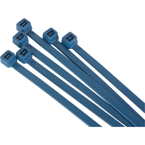 Attache-c&acirc;bles d&eacute;tectables par d&eacute;tecteur de m&eacute;taux, 6" lo, R&eacute;sistance &agrave; la traction 120 lb Rock Safety Industrial Ltd