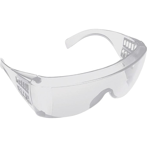 Lunettes pour visiteurs, Lentille Transparent, Anti-&eacute;gratignures/Polaris&eacute;, ANSI Z87+/R&eacute;pond ou surpasse la norme CSA Z94.3 Rock Safety Industrial Ltd