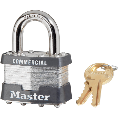 Cadenas commerciaux, Cl&eacute;s diff&eacute;rentes, Acier lamin&eacute;, Largeur de 1-9/16" Rock Safety Industrial Ltd