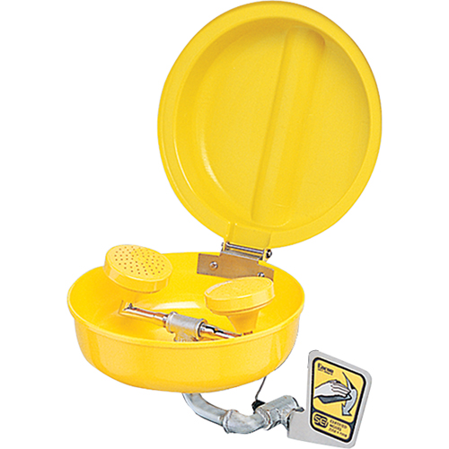 Douche oculaire/faciale avec couvercle, Installation Montage mural, Bol Plastique Rock Safety Industrial Ltd