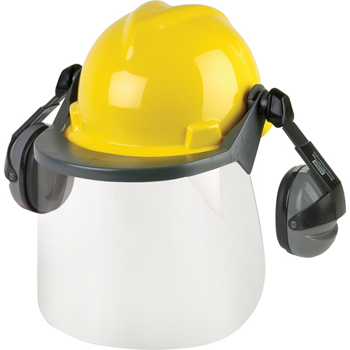 Ensembles de protection de la t&ecirc;te & du visage Rock Safety Industrial Ltd