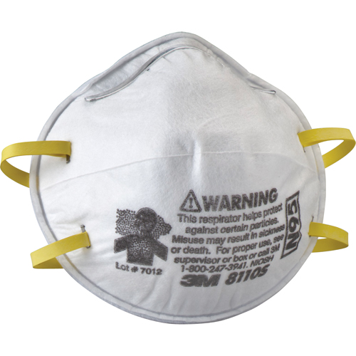 8110S Particulate Respirators, N95, NIOSH Certified, Small Rock Safety Industrial Ltd