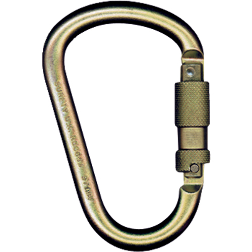 Carabiners, Steel, 5000 lbs Capacity Rock Safety Industrial Ltd