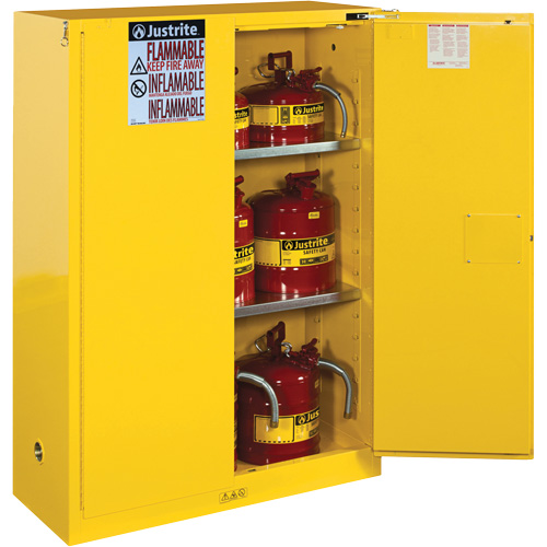 Armoires Sure-Grip EX pour produits inflammables, 45 gal., 2 Porte(s), 43" La x 65" h x 18" p Rock Safety Industrial Ltd