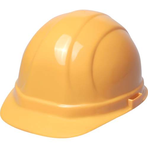 ERB Casque de s&eacute;curit&eacute; Omega II, R&eacute;pond aux normes CSA type 2, Suspension Rochet, Non ventil&eacute; Rock Safety Industrial Ltd