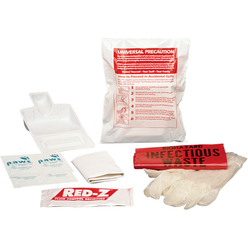 Fluid Spill Clean-Up Kit, Hazmat, Bag Rock Safety Industrial Ltd
