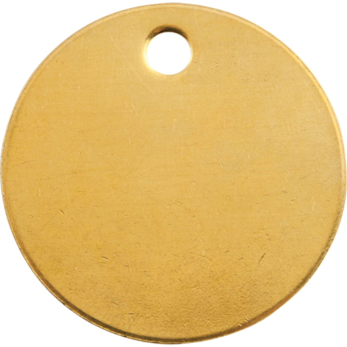 Blank Tags, Brass, 1" dia Rock Safety Industrial Ltd