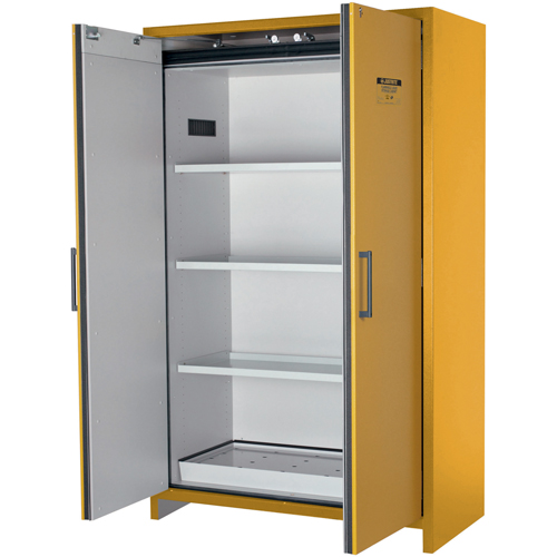Armoire d'entreposage 90 minutes s&eacute;curitaire et conforme &agrave; la norme EN, 45 gal., 2 Porte(s), 46,97" La x 76,89" h x 24,21" p Rock Safety Industrial Ltd