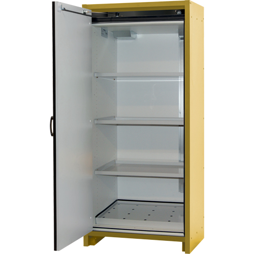 Armoire d'entreposage 30 minutes s&eacute;curitaire et conforme &agrave; la norme EN, 30 gal., 1 Porte(s), 34,02" La x 76,65" h x 24,21" p Rock Safety Industrial Ltd