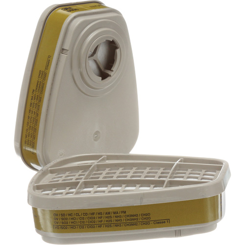 6000 Series Respirator Cartridges, Gas/Vapour Cartridge, Multi-Gas/Vapour Rock Safety Industrial Ltd