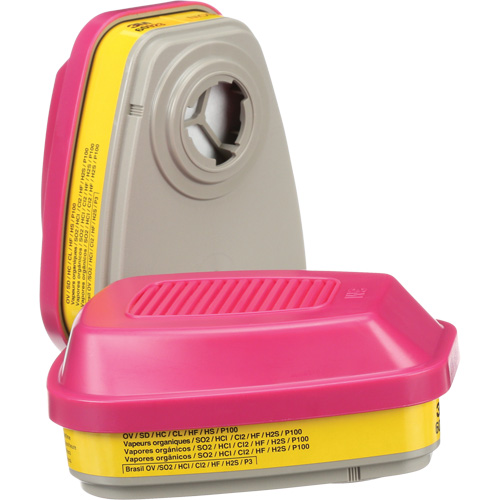 Cartouches pour respirateur s&eacute;rie 6000, Cartouche gaz/vapeur, Vapeurs organiques/Gaz acides/P100 Rock Safety Industrial Ltd