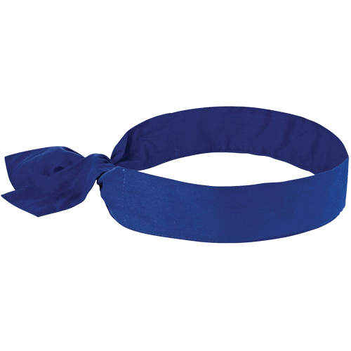 Chill-its&reg; 6700 Cooling Bandanas, Blue Rock Safety Industrial Ltd