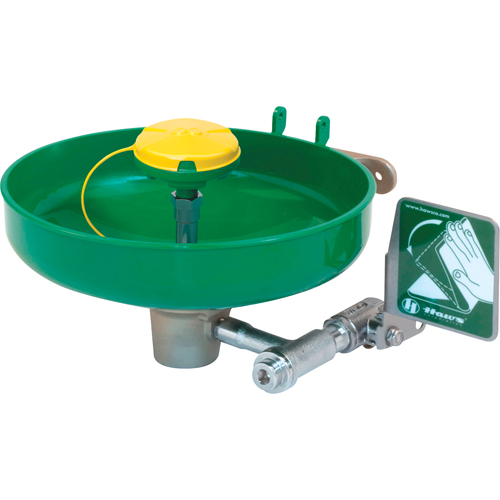 Axion&reg; Eye/Face Wash Station, Wall-Mount Installation, Plastic Bowl Rock Safety Industrial Ltd