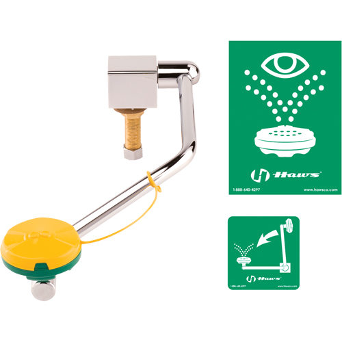 Eye/Face Wash Station, Sink Mount Installation Rock Safety Industrial Ltd