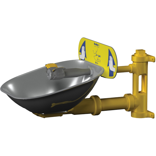 Poste de douche oculaire Halo, Installation Montage mural, Bol Acier inoxydable Rock Safety Industrial Ltd