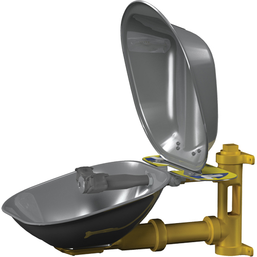 Halo Eyewash Stations, Wall-Mount Installation, Stainless Steel Bowl Rock Safety Industrial Ltd