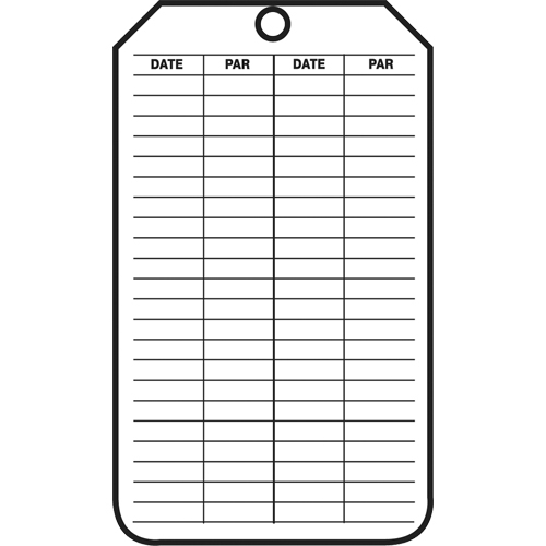 Inspection Tags, Plastic, 3-1/8" W x 5-7/8" H, French Rock Safety Industrial Ltd