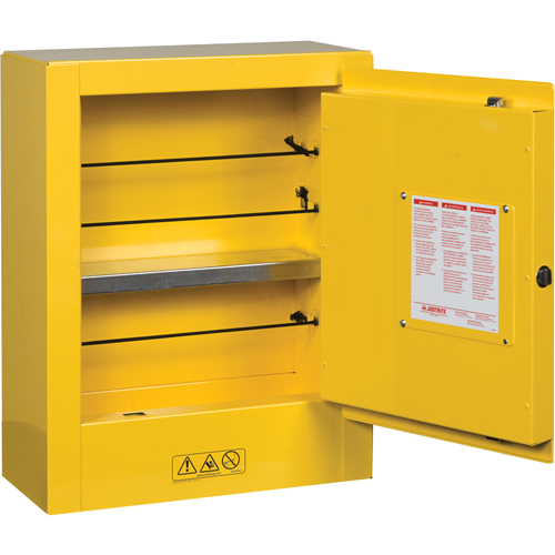 Sure-Grip&reg; EX Mini Flammable Safety Cabinet, 2 Gal., 1 Door, 17" W x 22" H x 8" D Rock Safety Industrial Ltd
