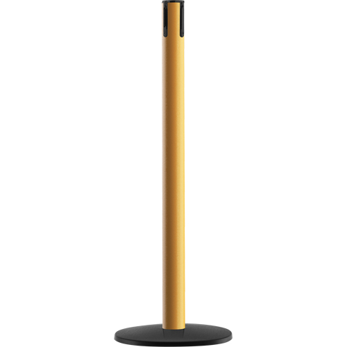 Syst&egrave;me Advance TensaBarrier - Poteau r&eacute;cepteur, Hauteur de 36", Jaune Rock Safety Industrial Ltd