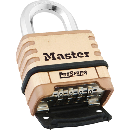 ProSeries&reg; Combination Padlock Rock Safety Industrial Ltd