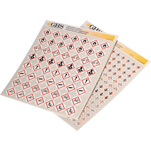 Assortiment d'&eacute;tiquettes avec pictogrammes sgh, Vinyle, Feuille, 1/2" lo x 1/2" la Rock Safety Industrial Ltd