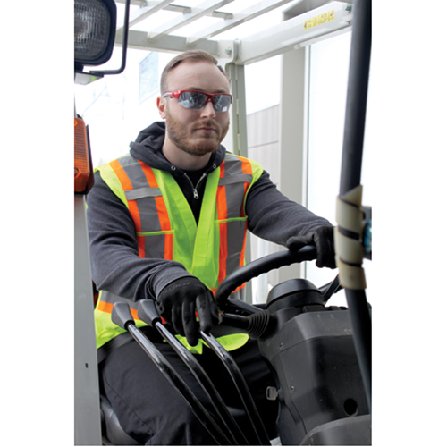 Lunettes de s&eacute;curit&eacute; s&eacute;rie Z1900, Lentille Bleu, Anti-&eacute;gratignures, R&eacute;pond ou surpasse la norme CSA Z94.3 Rock Safety Industrial Ltd