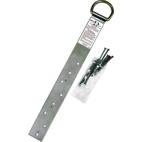 Miller&reg; Single Roof Anchor, D-Ring, Permanent Use Rock Safety Industrial Ltd