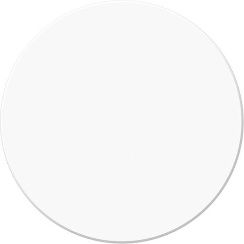 Marqueurs all&eacute;g&eacute;e/5S Armor Stripe, Cercle, 6" lo x 6" la, Blanc, Plastique Rock Safety Industrial Ltd