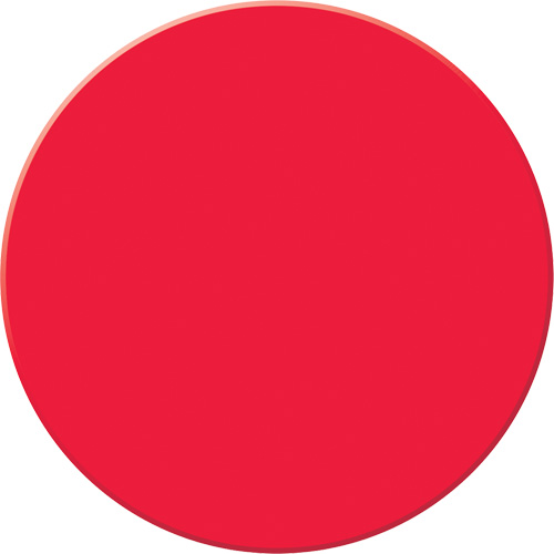 Marqueur robuste pour le sol Tough-Mark, Cercle, 3,5" lo x 3,5" la, Rouge, Poly&eacute;thyl&egrave;ne Rock Safety Industrial Ltd