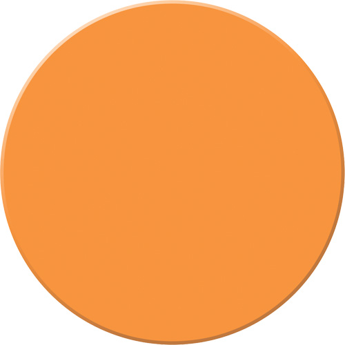 Marqueur robuste pour le sol Tough-Mark, Cercle, 3,5" lo x 3,5" la, Orange, Poly&eacute;thyl&egrave;ne Rock Safety Industrial Ltd