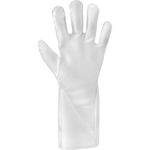 Gants r&eacute;sistants aux produits chimiques ALPHATEC 02-100, Taille 6, 15" lo, PEHP, 2,4 mils Rock Safety Industrial Ltd
