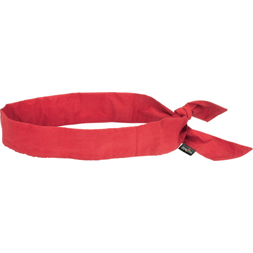 Cooling Bandana, Red Rock Safety Industrial Ltd