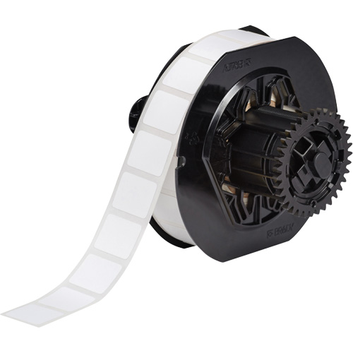 B33 Series Microscope Slide Laboratory Labels, Polyester, 0.9" L x 0.75" H, White Rock Safety Industrial Ltd