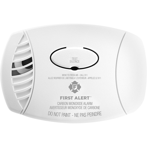 Carbon Monoxide Sensor with Battery Backup Rock Safety Industrial Ltd
