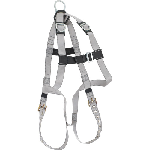 Dynamic B-Compliant Economy Harness, CSA Certified, Class AE, 310 lbs. Cap. Rock Safety Industrial Ltd