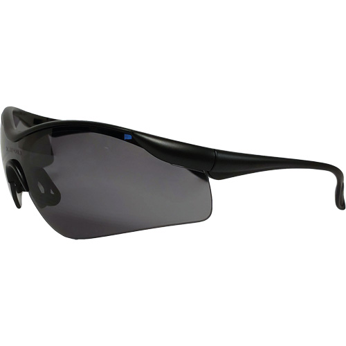 Miranda Safety Glasses, Grey Lens, Anti-Fog/Anti-Scratch, Meets/Exceeds CSA Z94.3 Rock Safety Industrial Ltd