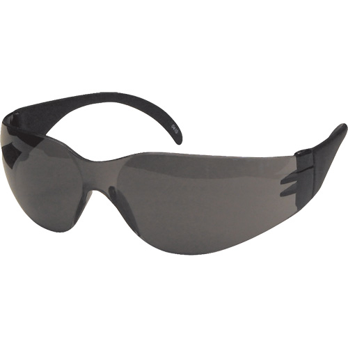 Lunettes de s&eacute;curit&eacute; CeeTec, Lentille Gris, Antibu&eacute;e/Anti-&eacute;gratignures, R&eacute;pond ou surpasse la norme CSA Z94.3 Rock Safety Industrial Ltd