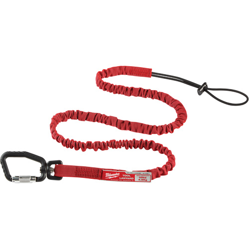 Longe verrouillable pour outils &agrave; port&eacute;e &eacute;tendue, Tendeur, Mousqueton/boucle Rock Safety Industrial Ltd