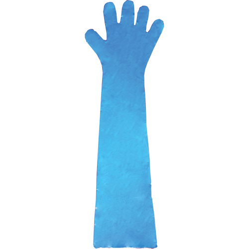 Gants jetables en latex, Gants jetables, Gants jetables en vinyle, Poly&eacute;thyl&egrave;ne, Sans poudre, Bleu Rock Safety Industrial Ltd