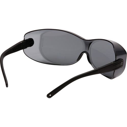 Lunettes de s&eacute;curit&eacute; TG OTS, Lentille Gris, Anti-&eacute;gratignures, ANSI Z87+/R&eacute;pond ou surpasse la norme CSA Z94.3 Rock Safety Industrial Ltd