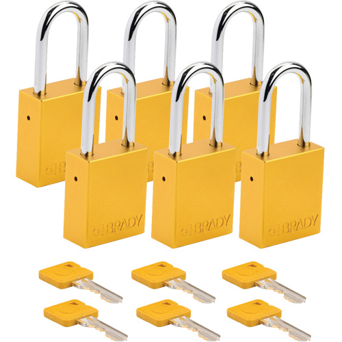 Cadenas de s&eacute;curit&eacute;, Cadenas de s&eacute;curit&eacute;, Cl&eacute;s identiques, Aluminium, Largeur de 1-1/2" Rock Safety Industrial Ltd